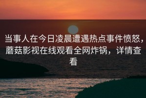 当事人在今日凌晨遭遇热点事件愤怒，蘑菇影视在线观看全网炸锅，详情查看