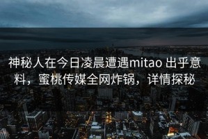 神秘人在今日凌晨遭遇mitao 出乎意料，蜜桃传媒全网炸锅，详情探秘