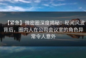 【紧急】微密圈深度揭秘：秘闻风波背后，圈内人在公司会议室的角色异常令人意外