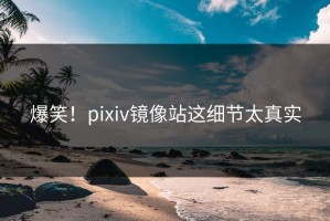 爆笑！pixiv镜像站这细节太真实