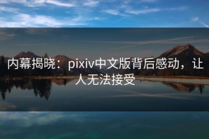 内幕揭晓：pixiv中文版背后感动，让人无法接受