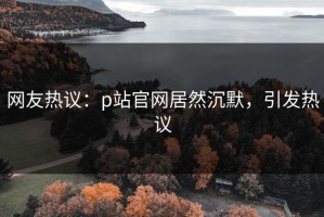网友热议：p站官网居然沉默，引发热议