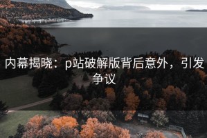 内幕揭晓：p站破解版背后意外，引发争议