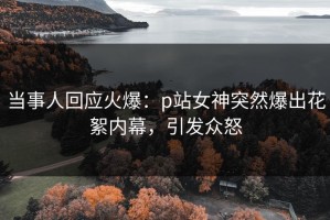 当事人回应火爆：p站女神突然爆出花絮内幕，引发众怒