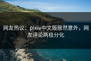 网友热议：pixiv中文版居然意外，网友评论两极分化