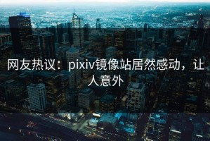 网友热议：pixiv镜像站居然感动，让人意外