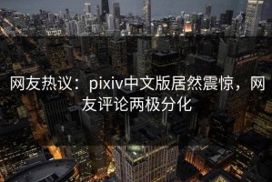 网友热议：pixiv中文版居然震惊，网友评论两极分化
