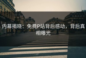 内幕揭晓：免费P站背后感动，背后真相曝光