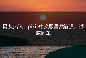 网友热议：pixiv中文版居然崩溃，彻底翻车