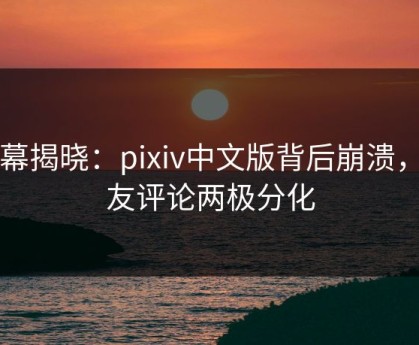 内幕揭晓：pixiv中文版背后崩溃，网友评论两极分化