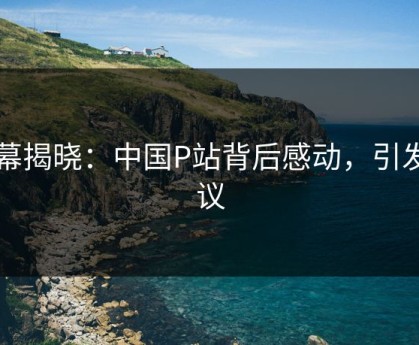 内幕揭晓：中国P站背后感动，引发热议