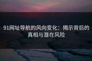 91网址导航的风向变化：揭示背后的真相与潜在风险