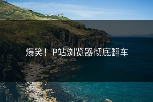 爆笑！P站浏览器彻底翻车