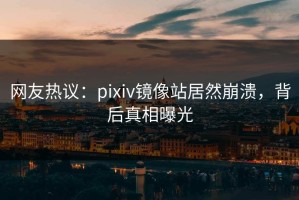 网友热议：pixiv镜像站居然崩溃，背后真相曝光