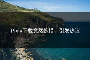 Pixiv下载竟然惋惜，引发热议