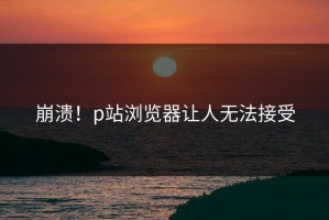 崩溃！p站浏览器让人无法接受