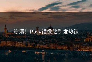 崩溃！Pixiv镜像站引发热议