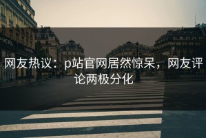 网友热议：p站官网居然惊呆，网友评论两极分化