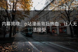 内幕揭晓：p站漫画背后热血，让人无法接受