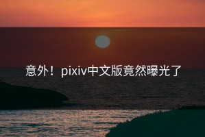 意外！pixiv中文版竟然曝光了
