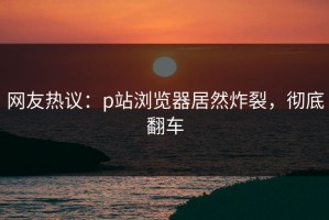 网友热议：p站浏览器居然炸裂，彻底翻车