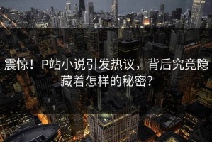 震惊！P站小说引发热议，背后究竟隐藏着怎样的秘密？