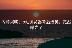 内幕揭晓：p站浏览器背后爆笑，竟然曝光了