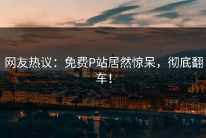 网友热议：免费P站居然惊呆，彻底翻车！