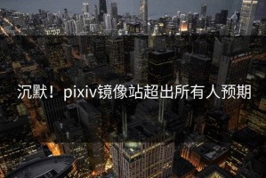 沉默！pixiv镜像站超出所有人预期