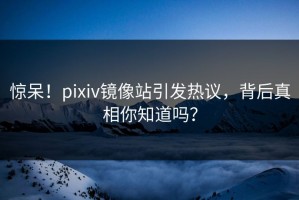 惊呆！pixiv镜像站引发热议，背后真相你知道吗？