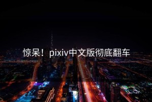 惊呆！pixiv中文版彻底翻车