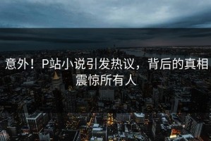 意外！P站小说引发热议，背后的真相震惊所有人