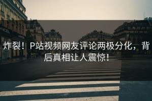炸裂！P站视频网友评论两极分化，背后真相让人震惊！
