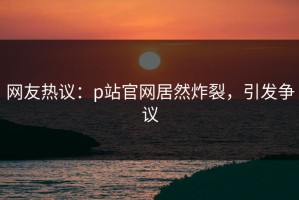 网友热议：p站官网居然炸裂，引发争议