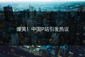 爆笑！中国P站引发热议