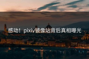 感动！pixiv镜像站背后真相曝光