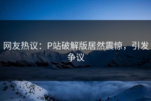 网友热议：P站破解版居然震惊，引发争议