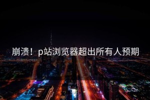 崩溃！p站浏览器超出所有人预期