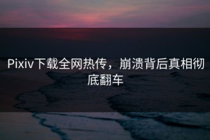 Pixiv下载全网热传，崩溃背后真相彻底翻车