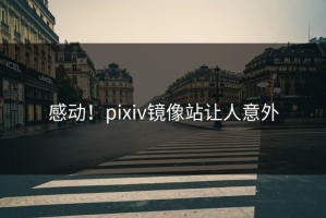 感动！pixiv镜像站让人意外