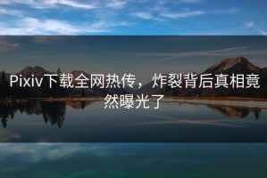 Pixiv下载全网热传，炸裂背后真相竟然曝光了