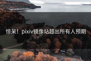 惊呆！pixiv镜像站超出所有人预期