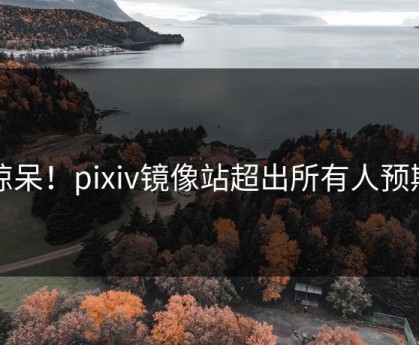 惊呆！pixiv镜像站超出所有人预期