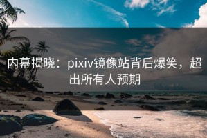 内幕揭晓：pixiv镜像站背后爆笑，超出所有人预期
