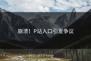 崩溃！P站入口引发争议