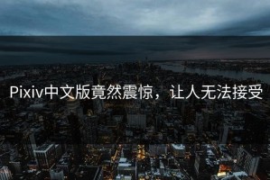 Pixiv中文版竟然震惊，让人无法接受
