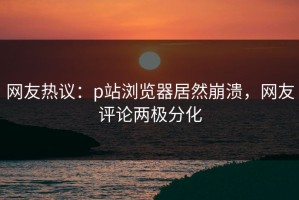 网友热议：p站浏览器居然崩溃，网友评论两极分化