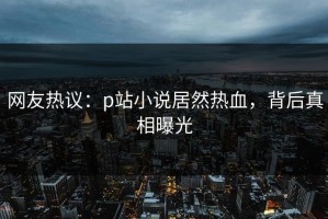 网友热议：p站小说居然热血，背后真相曝光