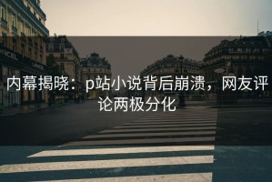 内幕揭晓：p站小说背后崩溃，网友评论两极分化