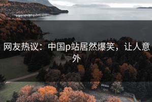 网友热议：中国p站居然爆笑，让人意外